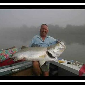 131cm Barramundi