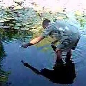 Darwin Barramundi Fish Catching