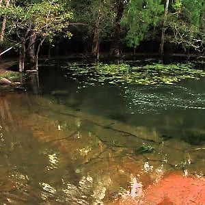 Barra Crossing NT