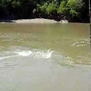 Barramundi Fishing