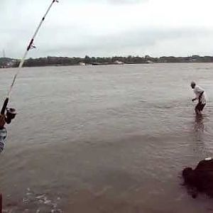 BARRAMUNDI FISHING IN GOA .