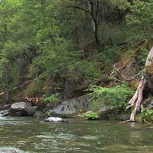 Tenkara fly-fishing