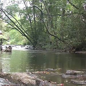 Fly Fishing for Monster Wild Trout in Georgia