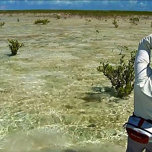 Walking Man by Todd Moen - Bahamas Fly Fishing