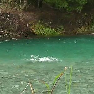 Fly fishing NZ - when the going gets tough