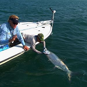 Poontastic - FLY fishing for TARPON in Islamorada