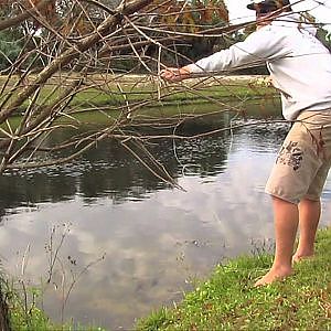 Fly Fishing for Bass in a Retention Pond