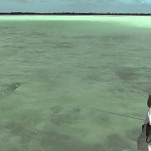 Fly fishing for Tarpon in Key West