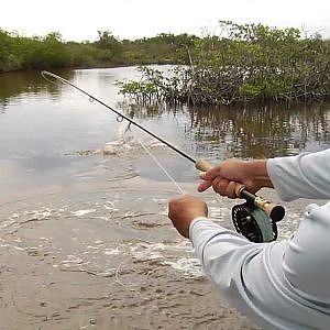 Fly Fishing Film Tour - Off the Grid - Fly Fishing in Mexico