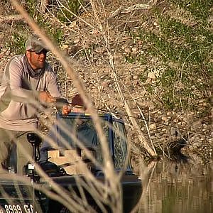 Fly Fishing Colorado - May - Bass & Bluegill