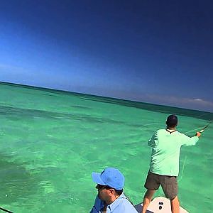 Tarpon school, Marathon Florida Keys - fly fishing