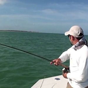 Salt water fly fishing for Jacks in a daisy chain HD Lord of the flys .