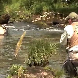 Commonwealth Fly Fishing Championships 2014