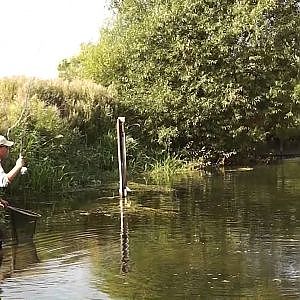 Chalk stream fly fishing