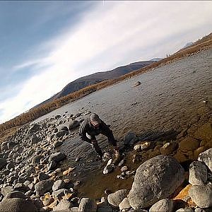 Hucho Taimen Fly Fishing in Mongolia 2012