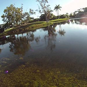 Fly Fishing the Doral Golf Course