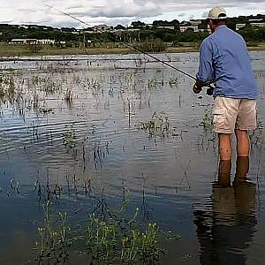 Fly Fishing for Carp in Slow Motion HD