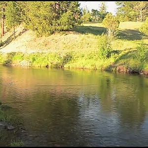 Creekside - Fly Fishing Montana