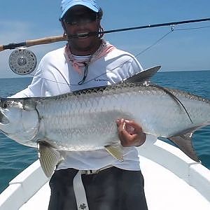 Fly fishing for big tarpon.