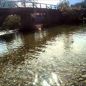 Fly Fishing :Only Dry Fly......! Sava Slovenia