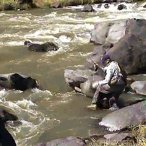 Fly-Fishing on the Rio Grande