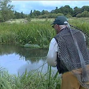 Born to Fish  Fly fishing The River Kennet