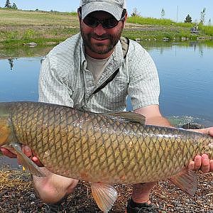 Grass Carp Fly Fishing - Monster Grass Carp On The Fly