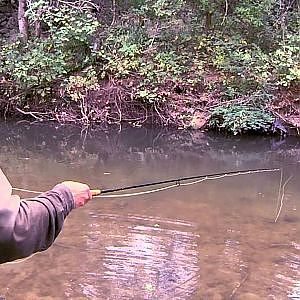 fly fishing for carp