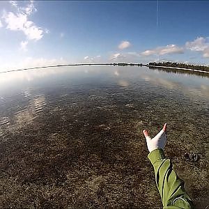 Fly Fishing for Bonefish in the Bahamas