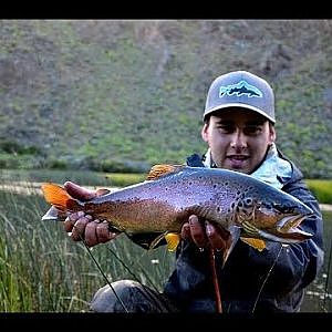 Coyhaique Fly fishing , Patagonia Chile. 2014