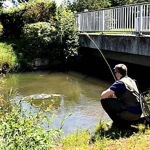 Angelspezi Augsburg - Fliegenfischen