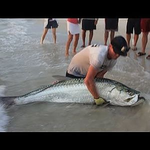 Big Game Fishing From Shore