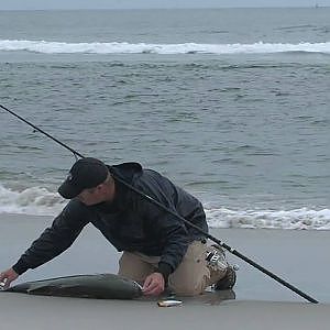 42 inch striped bass top water fishing off Crane Beach Ipswich MA 8/16/10 fish on!