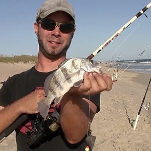 Surf Fishing Hatteras