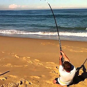 stockton beach shark fishing