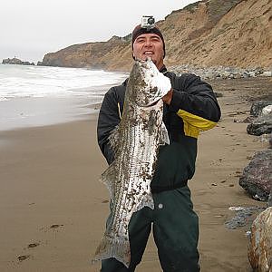 STRIPED BASS FISHING / MONSTER STRIPER caught on the BEACH / SURF FISHING with a Dobyns Rod & GoPro