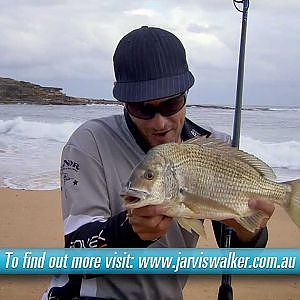 Beach fishing with baitâ€”and landing a 42cm bream!