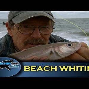 Beach fishing for Whiting- Series 1- Episode 8 - Totally Awesome Fishing