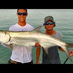 Best Beach Fishing You Have Ever Seen - LIve Bait For Sportfish