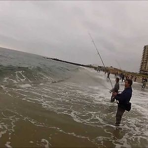 Striped Bass and Bluefish Blitzing on Peanut Bunker - SURF FISHING NJ