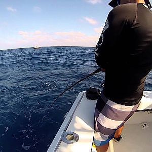 Wreck fishing for amberjack