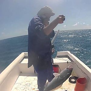 GOPRO coral trout FISHING on the Great Barrier Reef, Norlaus ep3