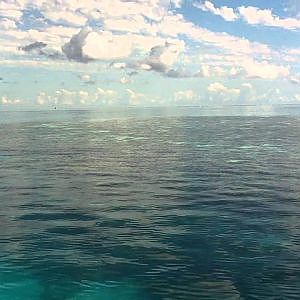 Inside Fitzroy Reef Clean up May 2011