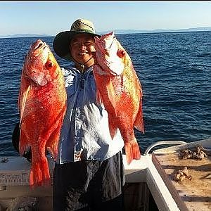 Cairns Fishing Nannygai