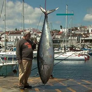 Big Game Fishing Azores