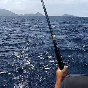 Seychelles Big Game Fishing - Cruising Catamaran