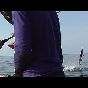 Fishing Sailfish Thailand Andaman Sea Ko Lipe Longtail Boat Ladypower