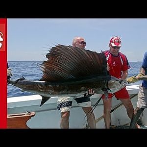 BIG GAME MARLIN -GOMERA FISHING