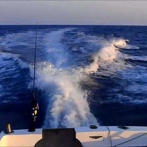Croatia Offshore Big Game Fishing -- Play the Big One!
