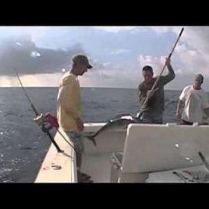 Commercial fishing for Wahoo